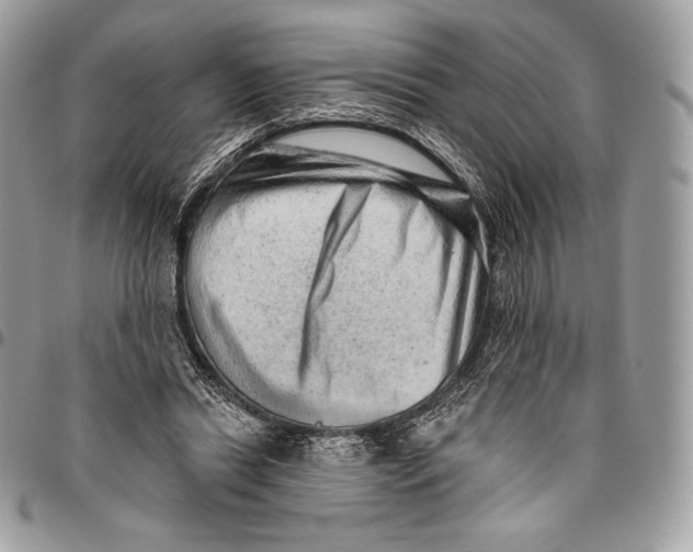 X0000094770446200712071138