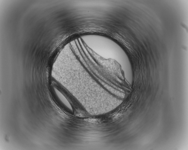 X0000094770448200712071138