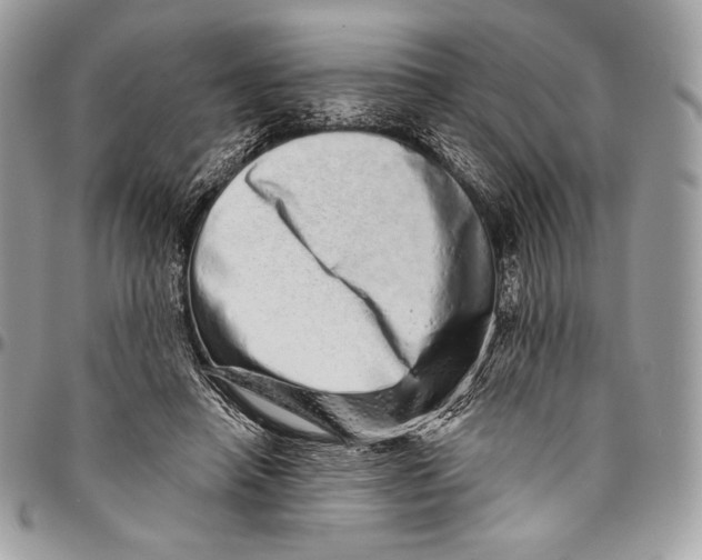 X0000094770450200712071138