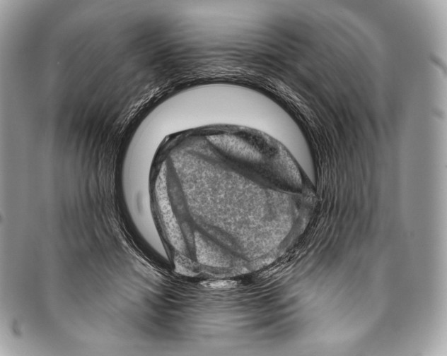 X0000094770452200712071138