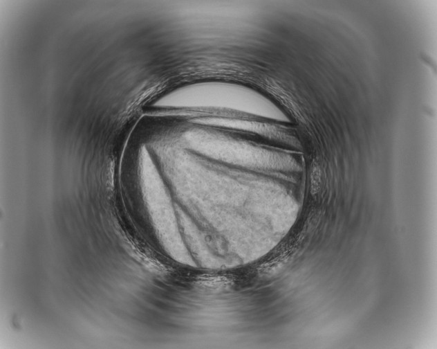 X0000094770454200712071138