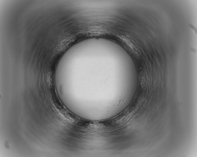 X0000094770455200712071138