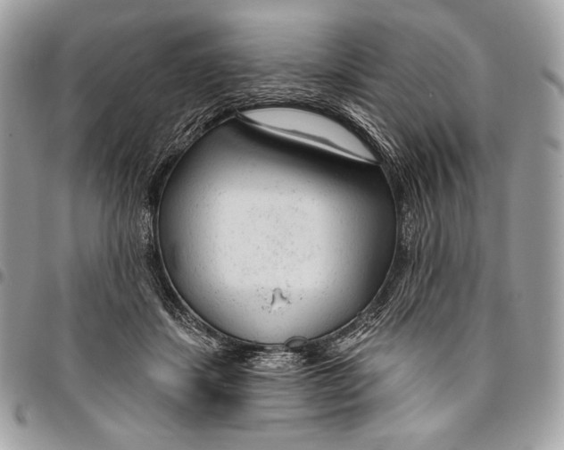 X0000094770459200712071138