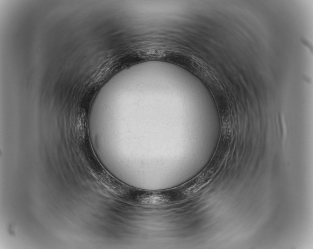 X0000094770460200712071138