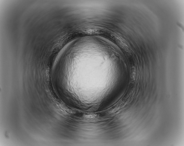 X0000094770461200712071138