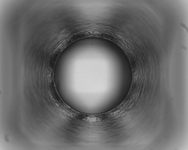 X0000094770464200712071138