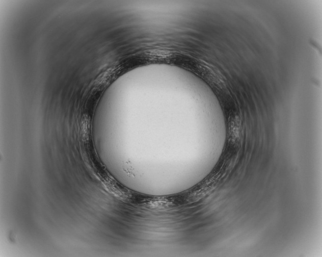 X0000094770468200712071138