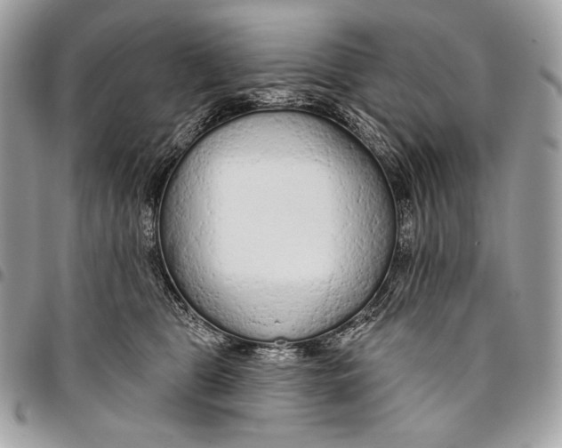 X0000094770469200712071138