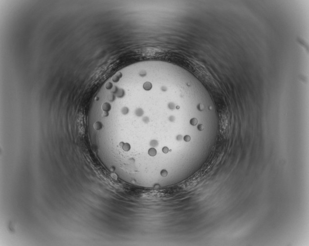 X0000094770470200712071138