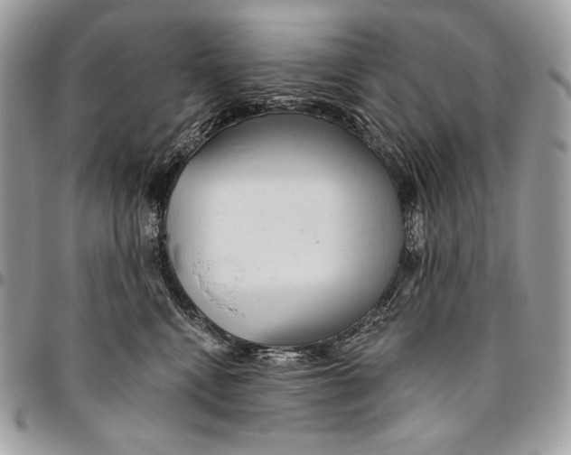 X0000094770472200712071138