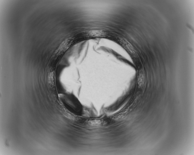 X0000094770473200712071138