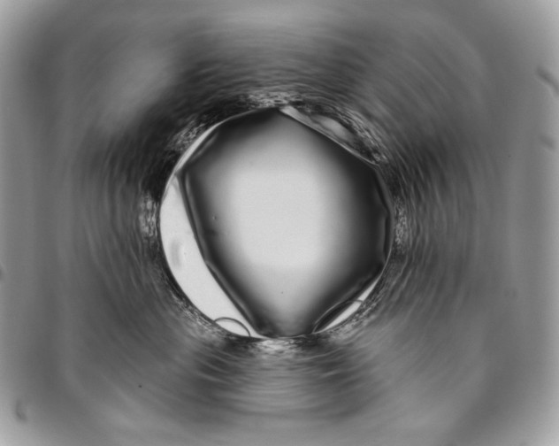 X0000094770477200712071138