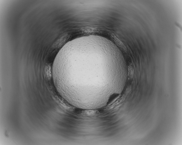 X0000094770479200712071138