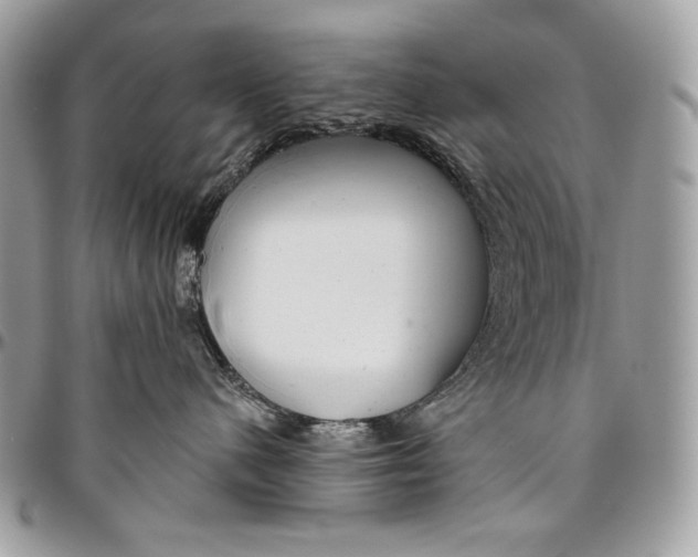 X0000094770480200712071138