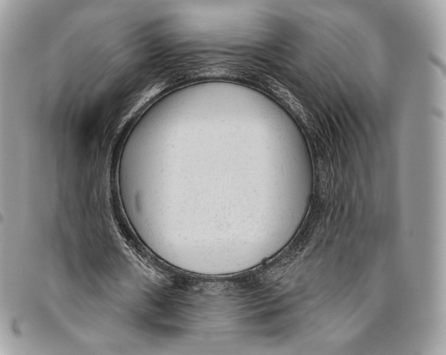 X0000094770482200712071137