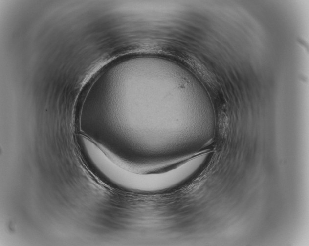 X0000094770484200712071137