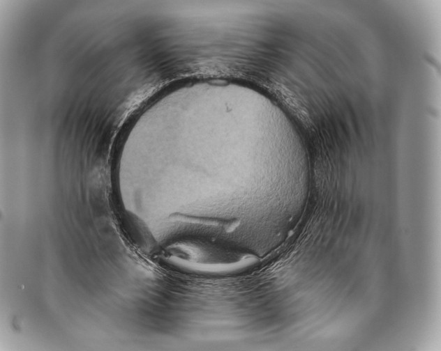 X0000094770488200712071137