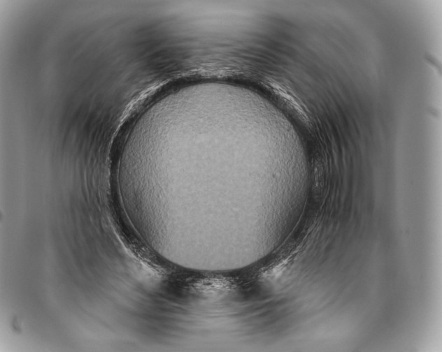 X0000094770492200712071137