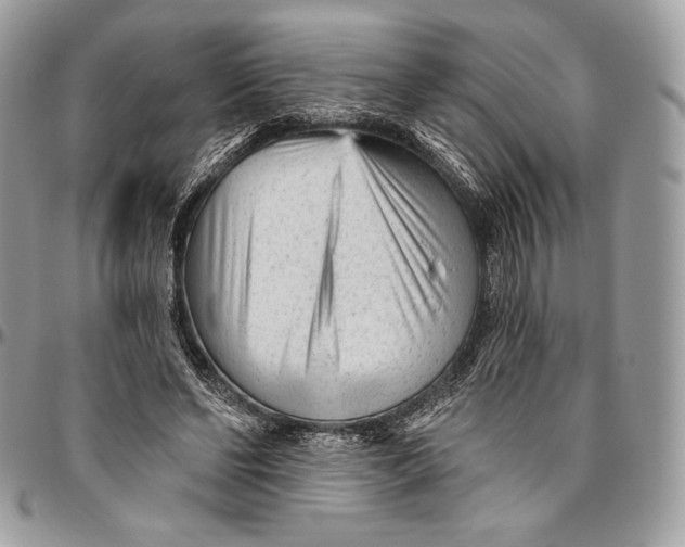 X0000094770494200712071137