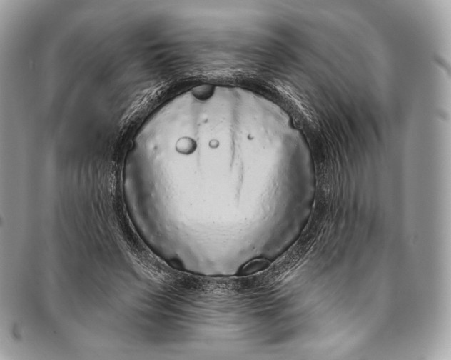 X0000094770495200712071137