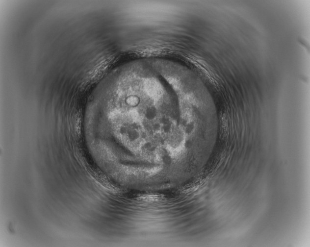 X0000094770499200712071137