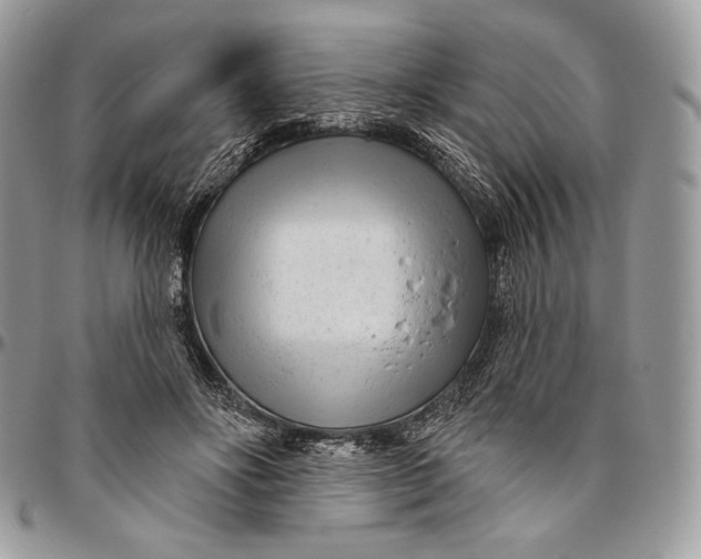 X0000094770502200712071137