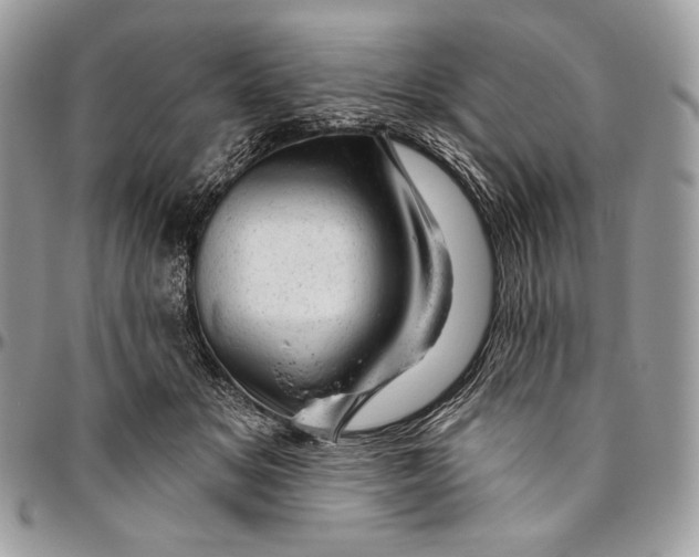 X0000094770509200712071137