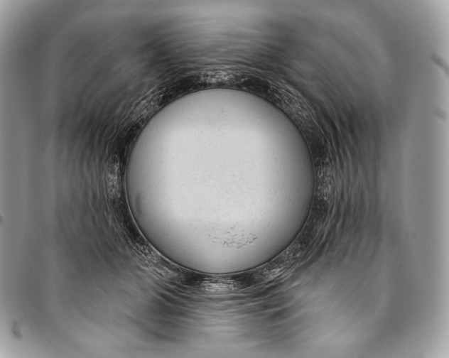 X0000094770510200712071137