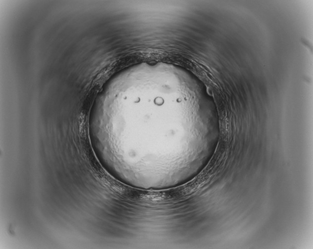 X0000094770511200712071137