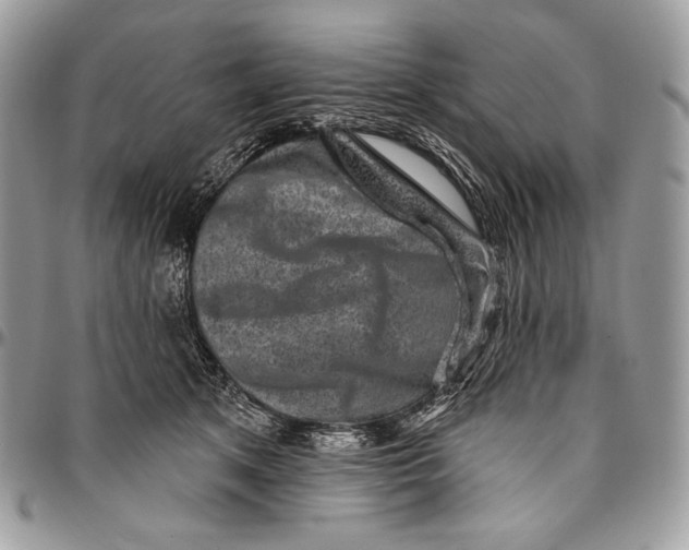 X0000094770513200712071137