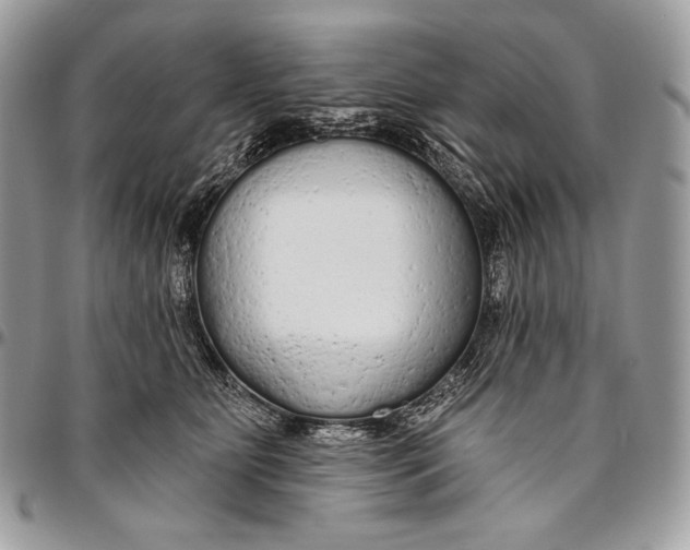 X0000094770515200712071137