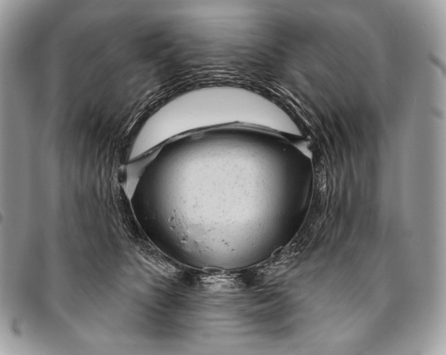 X0000094770516200712071137