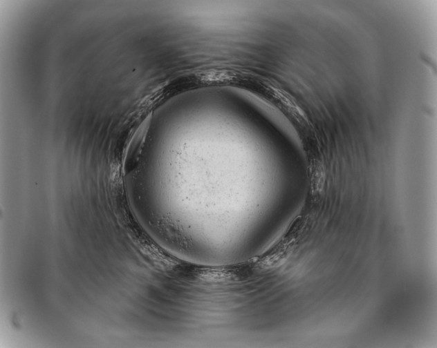 X0000094770521200712071137