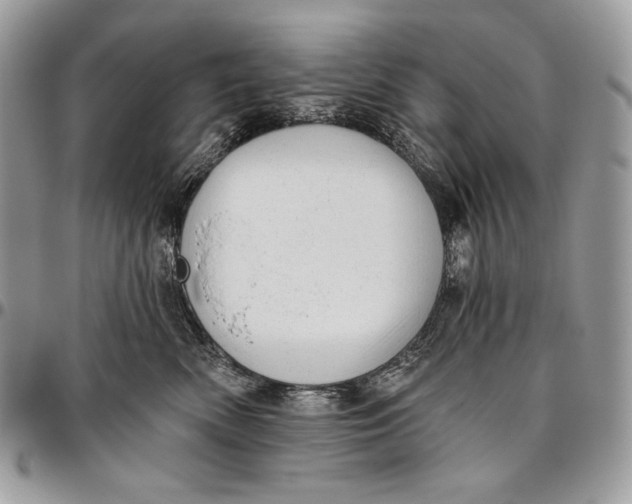 X0000094770522200712071137