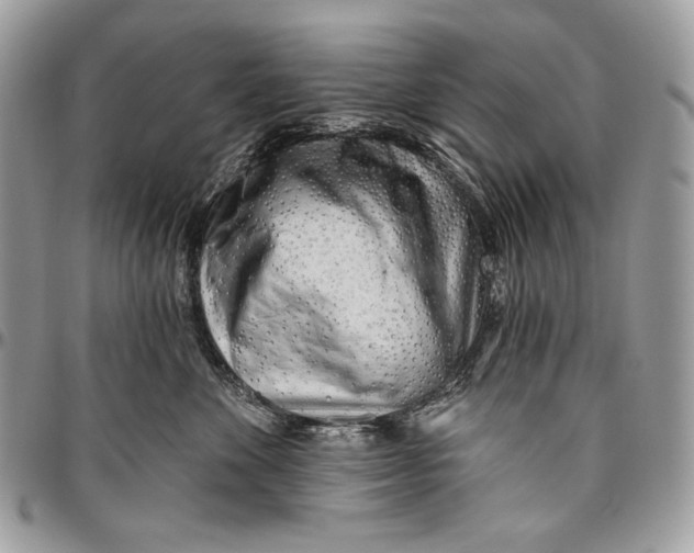 X0000094770524200712071137