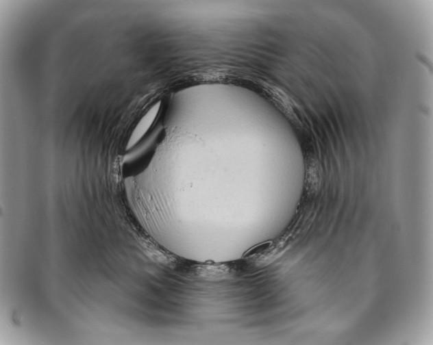 X0000094770525200712071137