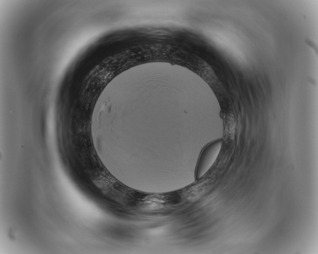 X0000094770526200712071137