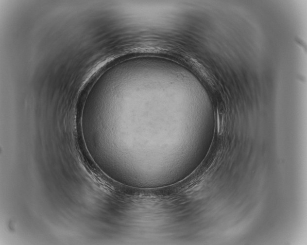 X0000094770531200712071136