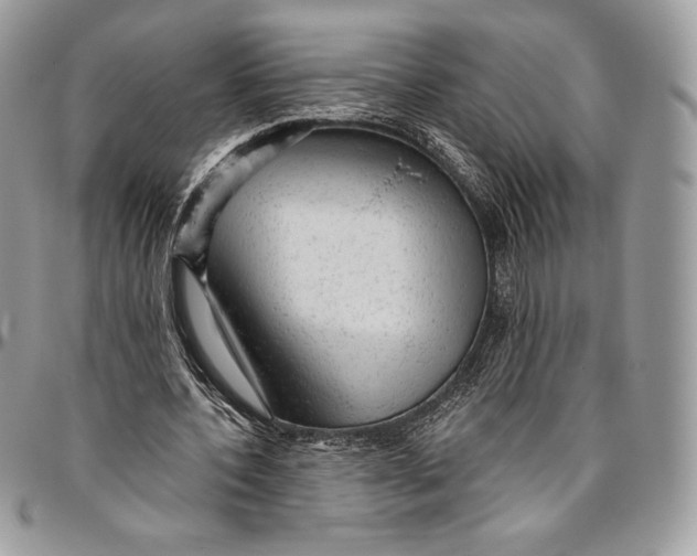 X0000094770532200712071136