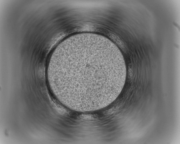 X0000094770534200712071136