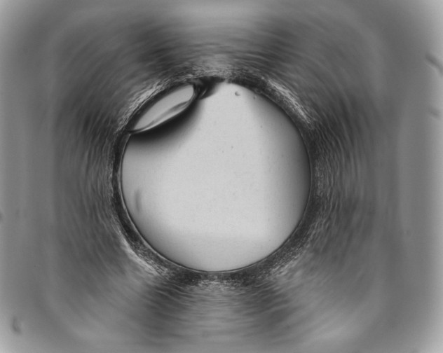 X0000094770538200712071136