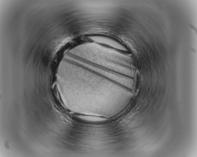 X0000094770539200712071136