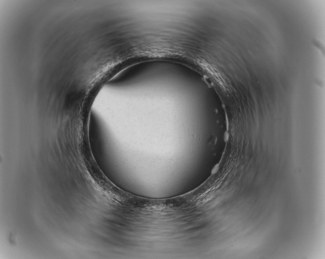 X0000094770540200712071136