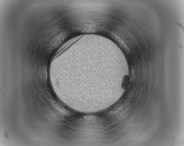 X0000094770541200712071136