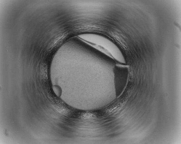 X0000094770547200712071136