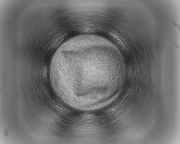 X0000094770549200712071136