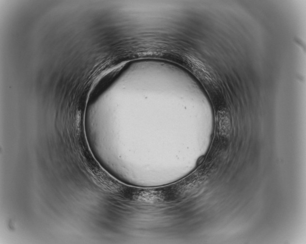 X0000094770550200712071136