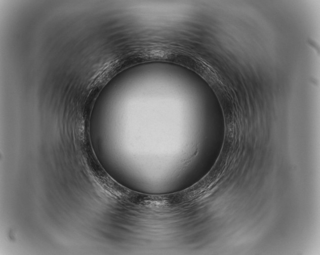 X0000094770552200712071136