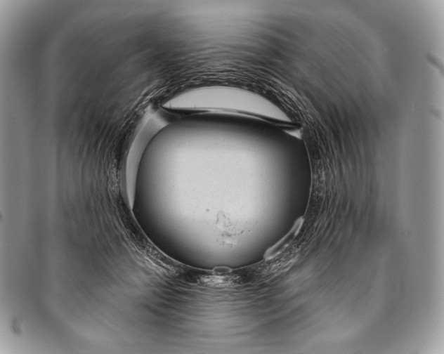 X0000094770558200712071136