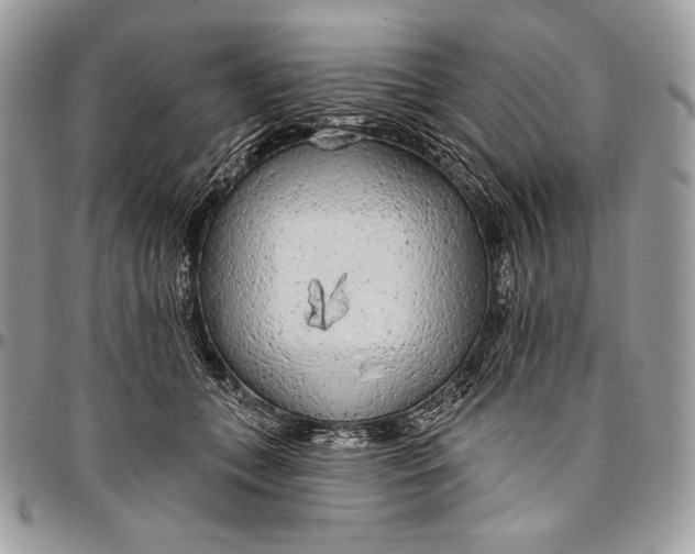 X0000094770559200712071136